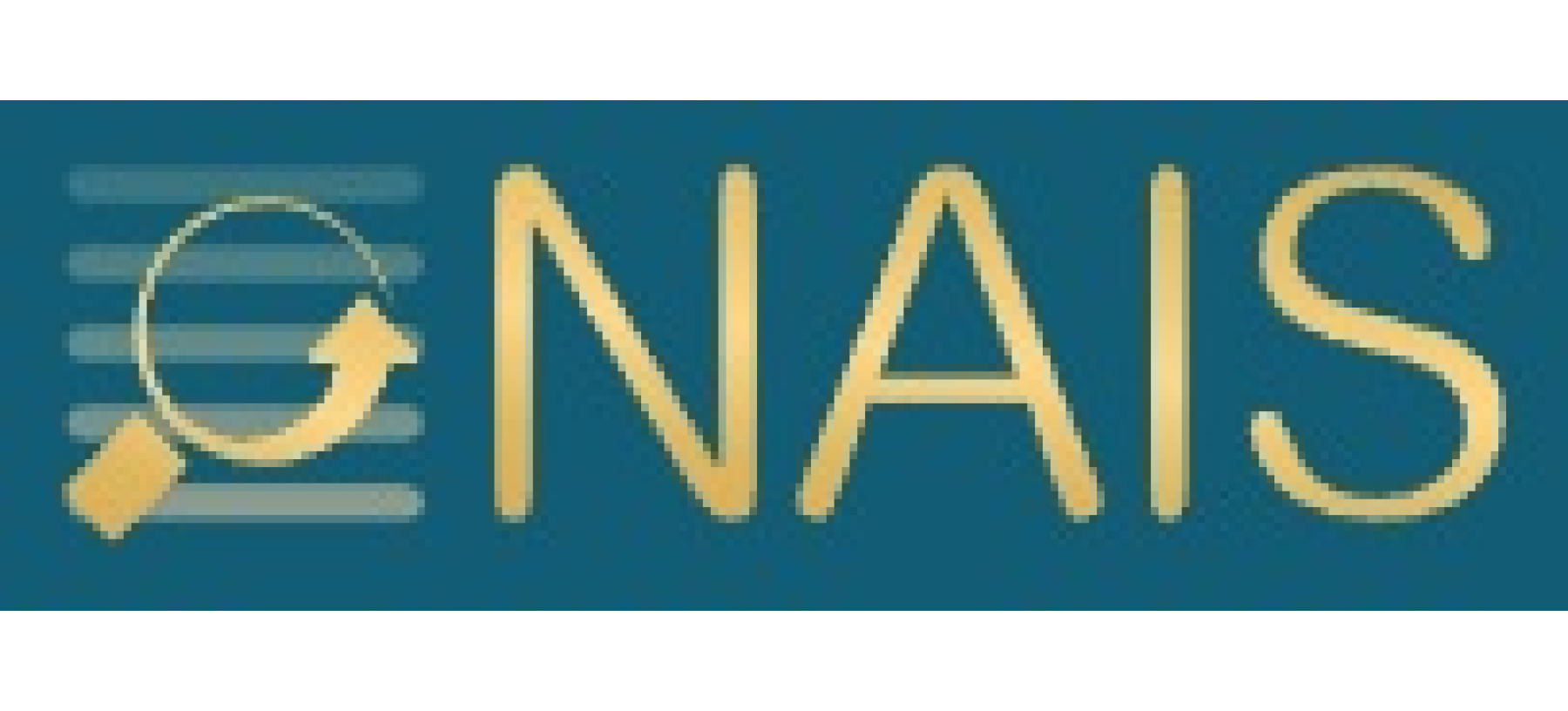 nais_logo_png.png